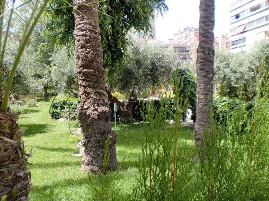Apartamentos Cervantes Benidorm Exterior photo